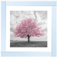 Pink Cherry Blossom Glitter Liquid Wall Art Dcor - Silver