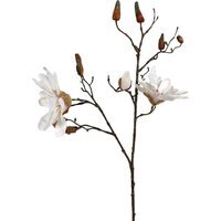 Magnolia Stem - White - image 1