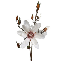 Magnolia Stem - White - thumbnail 2