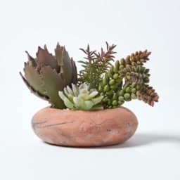 Homescapes Artificial Succulent Arrangement in Round Terracotta Pot, 15cm Tall - Green - thumbnail 4