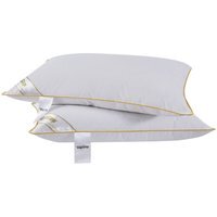 Luxury Goose Feather and Down Pillow - White / 2