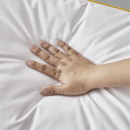 Luxury Goose Feather and Down Pillow - White / 2 - thumbnail 2