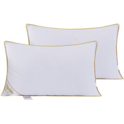 Luxury Goose Feather and Down Pillow - White / 2 - thumbnail 4