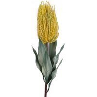 Banksia Menziesii Flower Stem Artificial - Banksia Menziesii Yelow