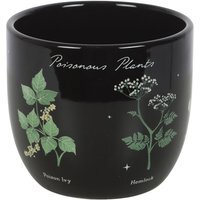 Poisonous Plants Indoor Ceramic Plant Pot - Black - image 1