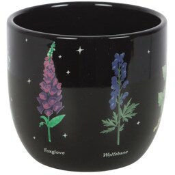 Poisonous Plants Indoor Ceramic Plant Pot - Black - thumbnail 3