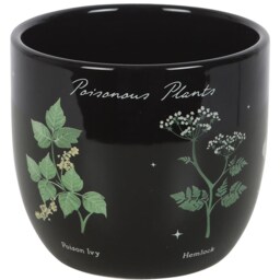 Poisonous Plants Indoor Ceramic Plant Pot - Black - thumbnail 5