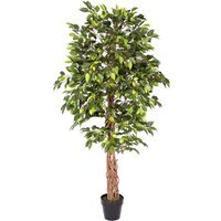 Green Artificial Ficus Tree with Twisted Real Wood Trunk, 6 Ft - Green - image 1