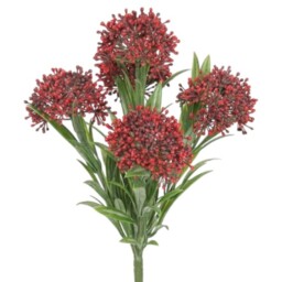 UV Indoor, Outdoor Everlast Skimmia Plant - Red - thumbnail 3