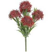 UV Indoor, Outdoor Everlast Skimmia Plant - Red - thumbnail 1
