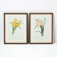 Set of 2 Narcissus Flower Wall Art - White, Yellow - image 1