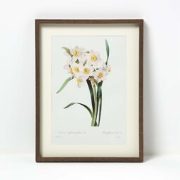 Set of 2 Narcissus Flower Wall Art - White, Yellow - thumbnail 3