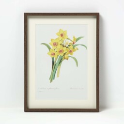 Set of 2 Narcissus Flower Wall Art - White, Yellow - thumbnail 2
