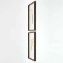 Set of 2 Narcissus Flower Wall Art - White, Yellow - thumbnail 5