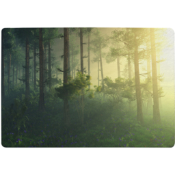 Sun, Trees In A Haze Of Light, Glowing Fog Among The Trees Designer Rug - Green / 150cm - thumbnail 2