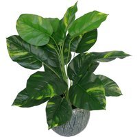 Variegated Artificial Houseplant In Black Pot 60cm - Green