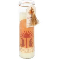 Leopard Palm Tube Candle - Sandalwood & Oud