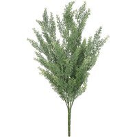 UV Indoor, Outdoor Everlast Helichrysum Plant - Green