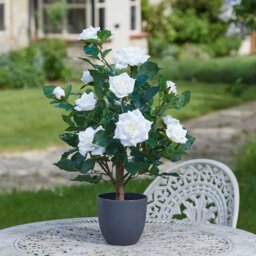 Artificial Rose Bush Tree Potted Plant In White - Green,White - thumbnail 3