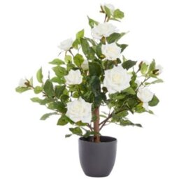 Artificial Rose Bush Tree Potted Plant In White - Green,White - thumbnail 2