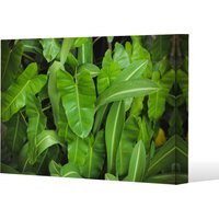 Abstract background of dark green leaves Canvas Print - Green / 51cm / 77cm - image 1