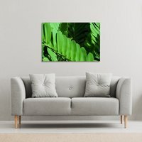 Natural dark green leaves, long slender green leaves Canvas Print - Green / 41cm / 61cm - image 1