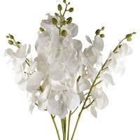 Bunch of Artificial Phalaenopsis Orchid Stems Flowers - White Orchid