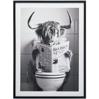 Humorous Highland Cow Framed Print - Grey
