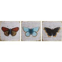 Madera Butterfly Wall Plaque - Set of 3 - Assorted