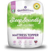 Sleep Soundly Anti Allergy Mattress Topper - White / Single
