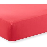 "Extra Deep Percale Fitted Sheet 16"" - Red / Superking"