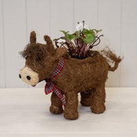 Brown Highland Cow with Tartan Scarf - Dark Brown
