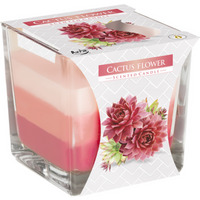 Rainbow Jar Candle Cactus flower - Pink