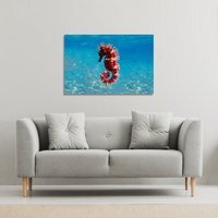 Mediterranean Seahorse Canvas Print - Blue / 31cm / 46cm - image 1