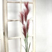 Red Pampas Grass Dried Flowers - Red