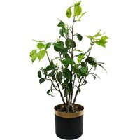 Artificial Bonsai Tree in Display Pot - 60cm Banyan Bonsai / Artificial bonsai tree