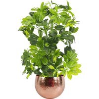 Artificial Arboricola Gold Capella Plant - Green With Copper Planter / 65cm