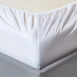 Organic Egyptian Cotton Fitted Sheet - White / Single - thumbnail 3