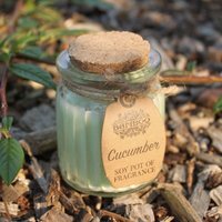 Cucumber Soy Pot of Fragrance Candles - Green
