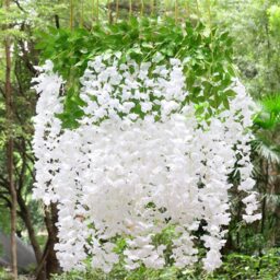 Set of 12 Hanging Artificial Wisteria Vines - White - thumbnail 5