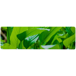 Green leaf background abstract of nature Designer Runner Rug - Green - thumbnail 2