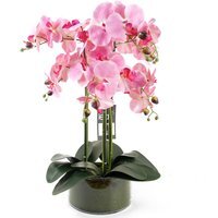 Artificial Orchid with Glass Planter - Pink