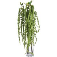 Botanical Filler Amaranthus - Green