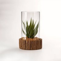 Fiori Small Succulent with Natural Stone Base - Green