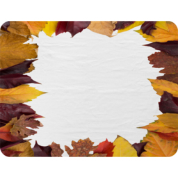 Orange  Purple Autumn Blanket - Orange - thumbnail 2