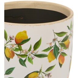 Lemon Egg Plant Pot - 19cm - thumbnail 2