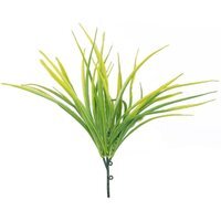 Yellow Hardy Grass 3 Pack Green - Green