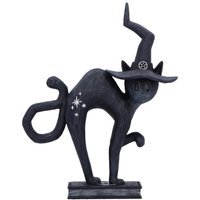 Spell Cat Black Figurine  - Hex / 15.2cm / 5cm - thumbnail 1