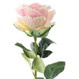 Single Stem Silk Garden Rose - H35cm - Soft Pink - thumbnail 2