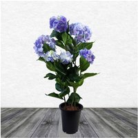 90cm Artificial Hydrangea Plant with 200 Flowers - Blue